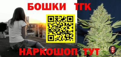 тгк Можга